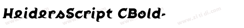 HeidersScript CBold字体转换